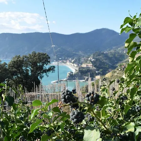 Station 5 Terre Appartamento La Spezia